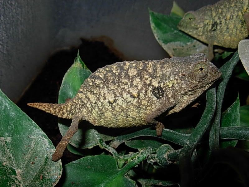 DSCN3914.jpg