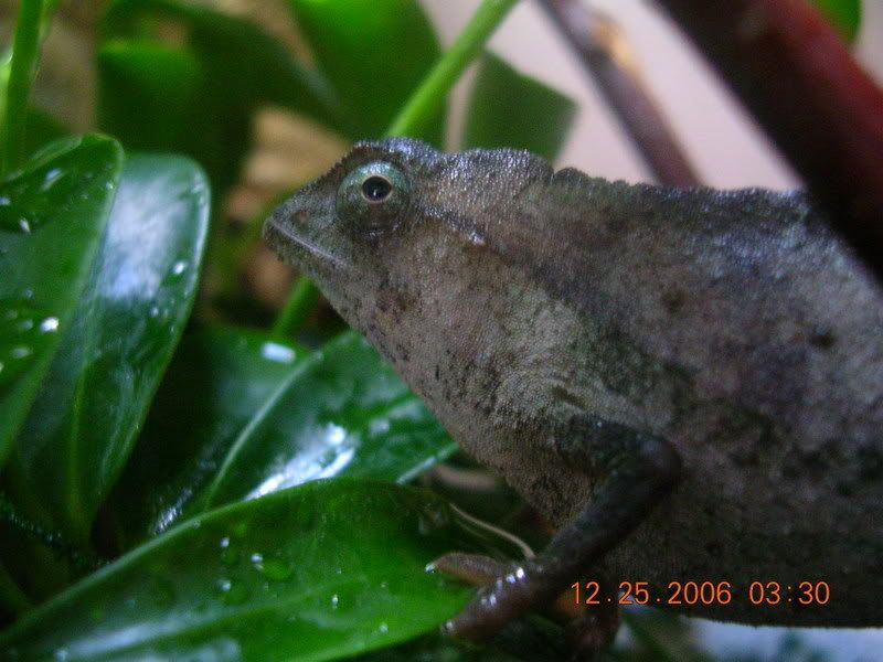 DSCN3406.jpg