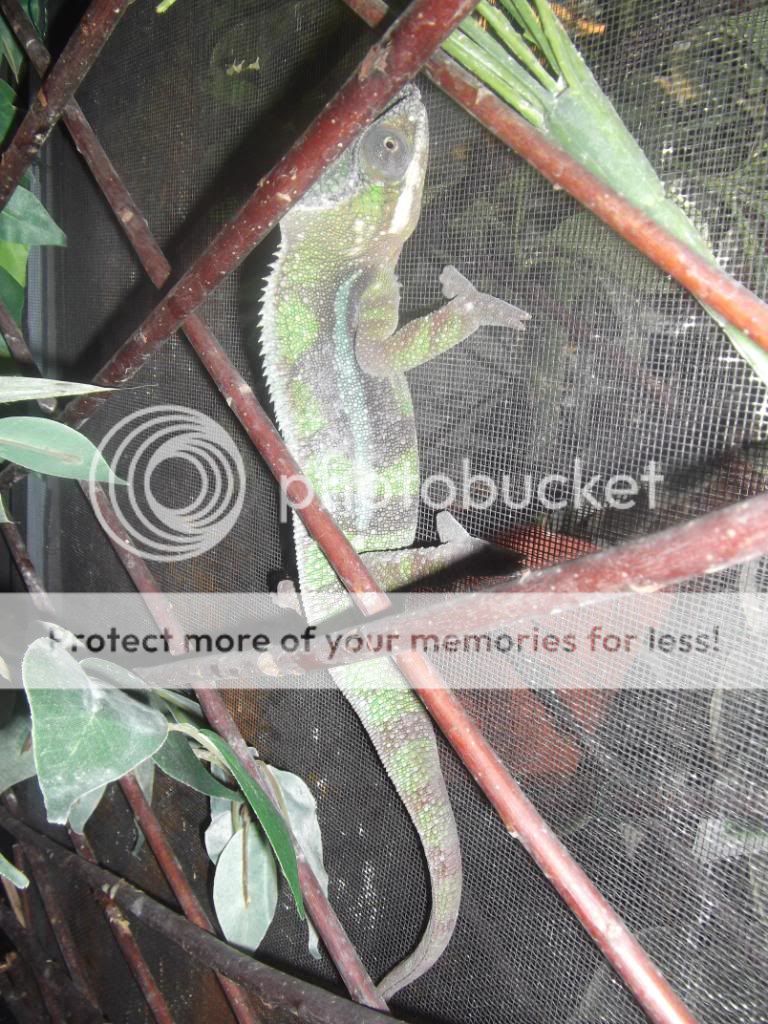 stuck.jpg