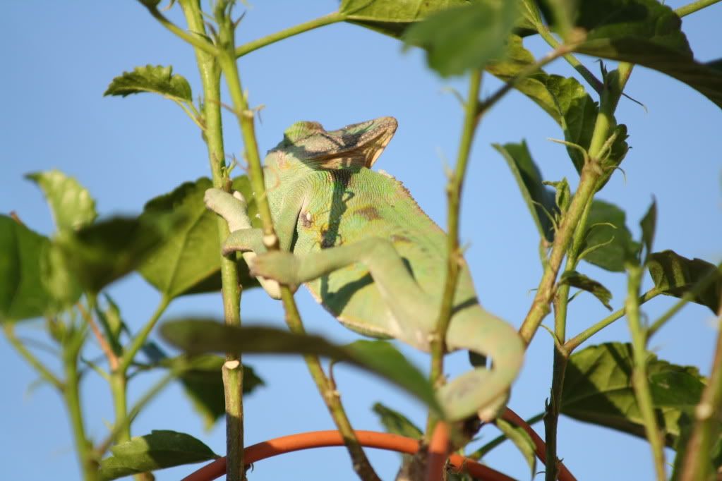 20110804_21.jpg