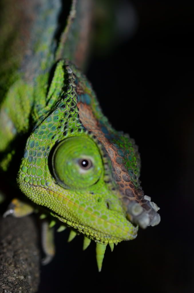 DSC_0330.jpg
