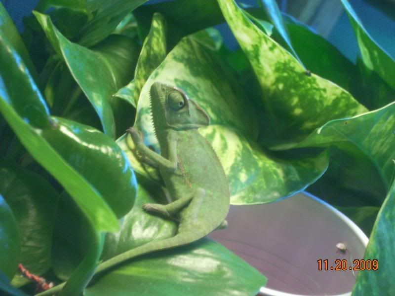 DSCN2219.jpg