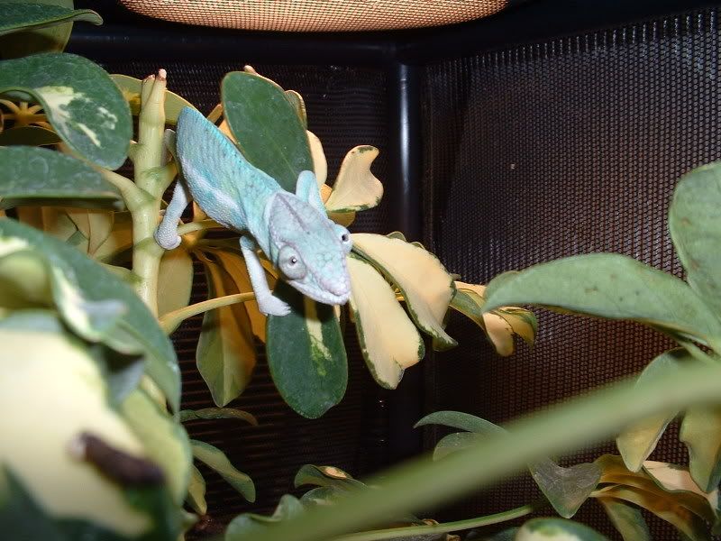 DSCF0025-2.jpg
