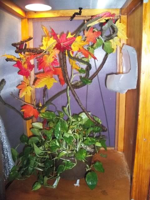 100_0422.jpg