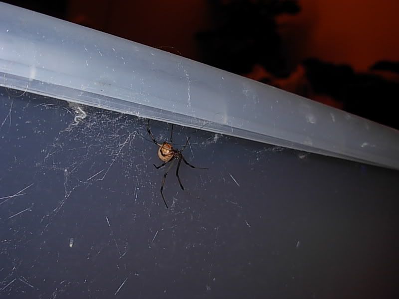 DSCN3749.jpg