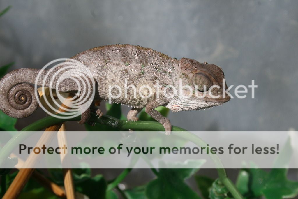 somepics020.jpg