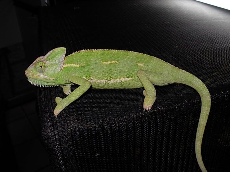 DSCN3815.jpg