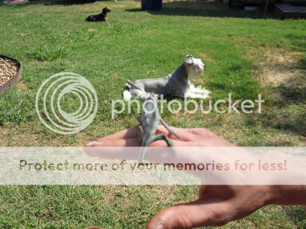RangerAug2010010.jpg