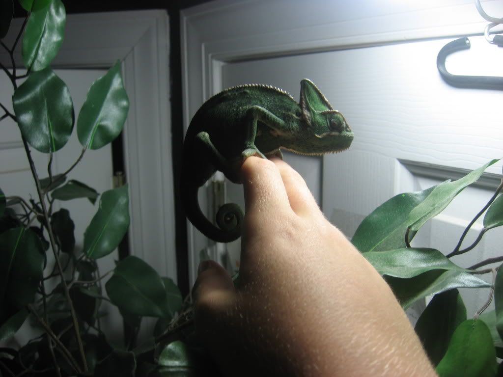 EmilyUpdate002.jpg