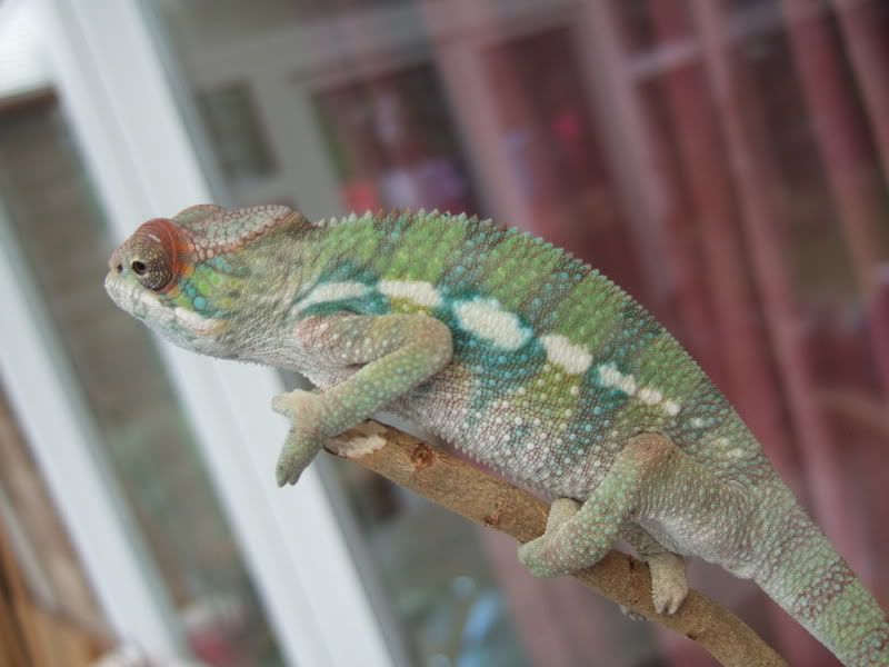 DSCF4118.jpg