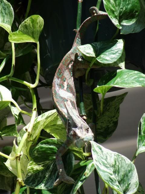 DSC01405.jpg