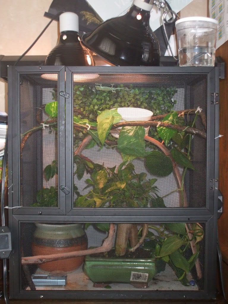 DSCF4505.jpg