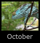 10october.jpg