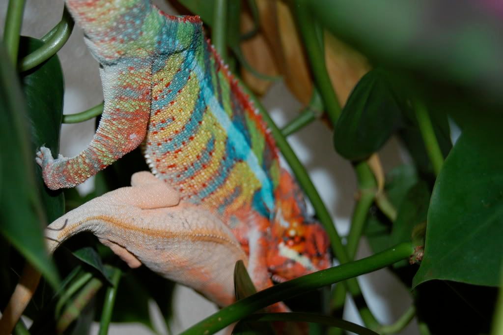 DSC_0022.jpg