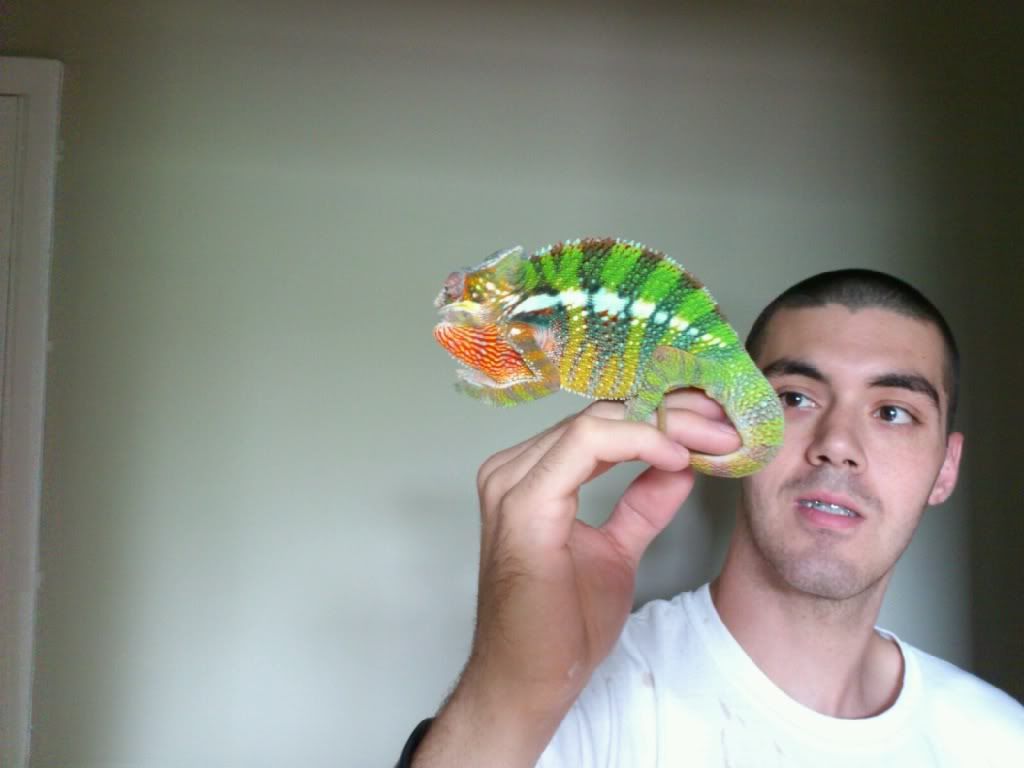mms_img-1686461721.jpg