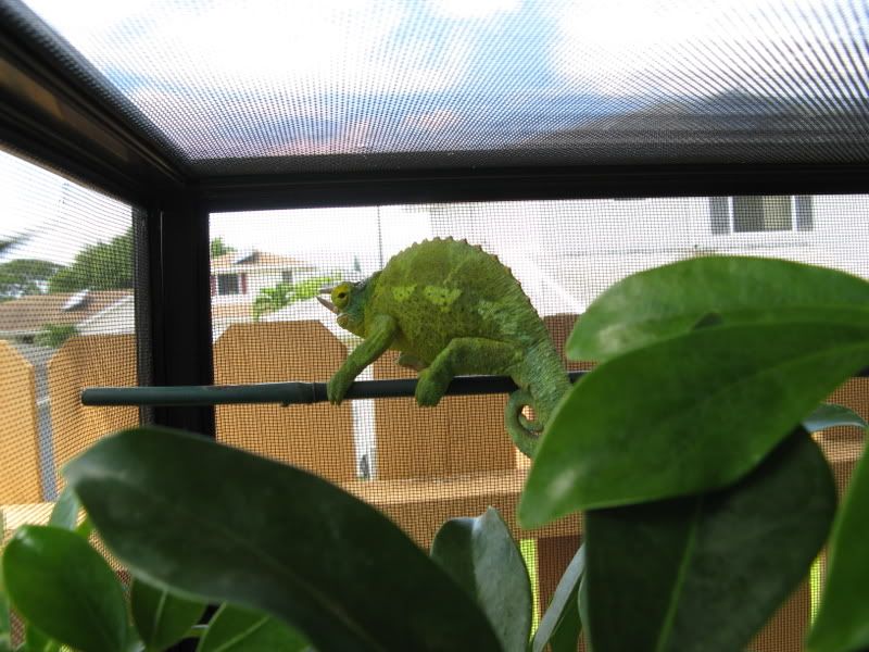 Picture219.jpg