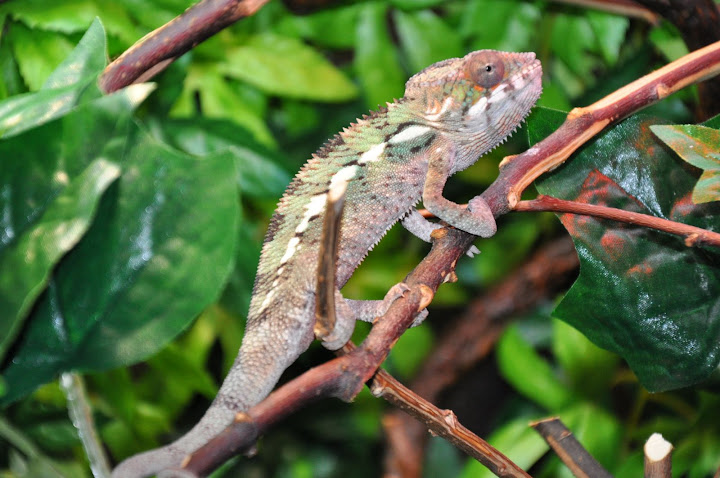 DSC_0146.JPG