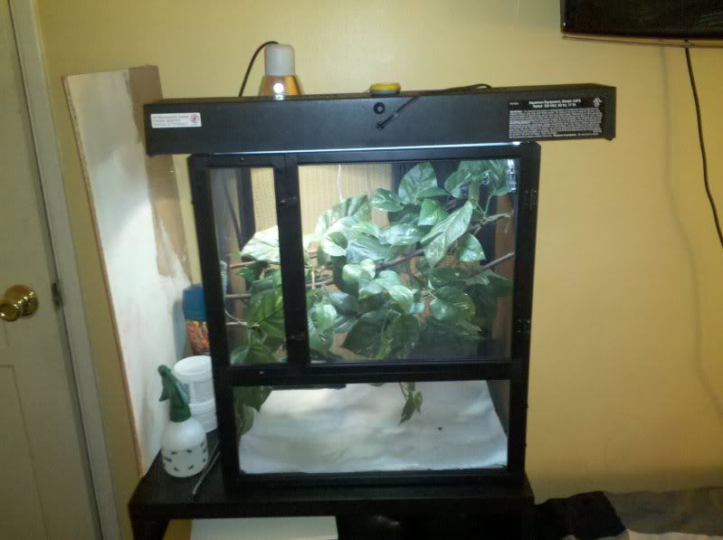 2010-07-15130129.jpg