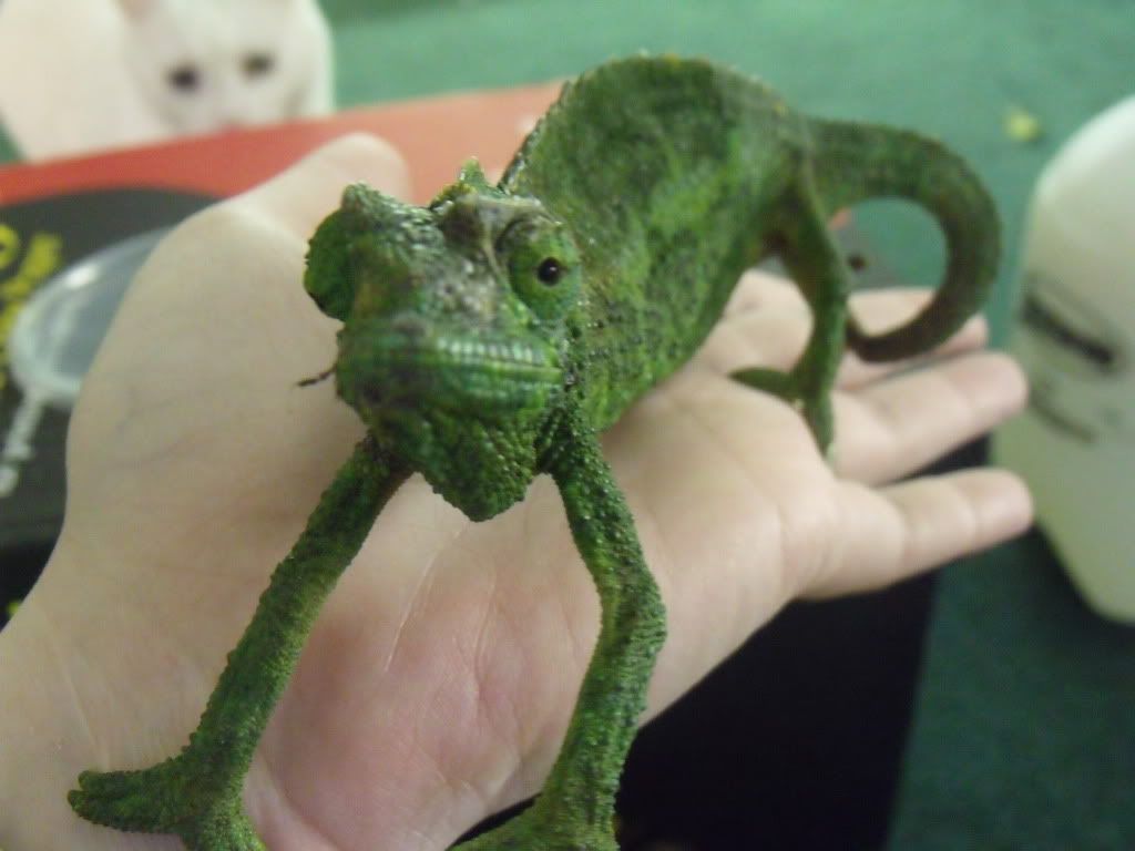2010_0427chams0021.jpg