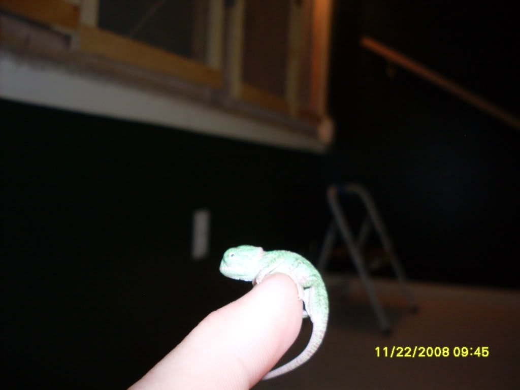 SDC10160.jpg
