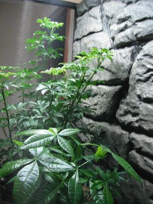 DSCF2099_zps649a2cc7.jpg
