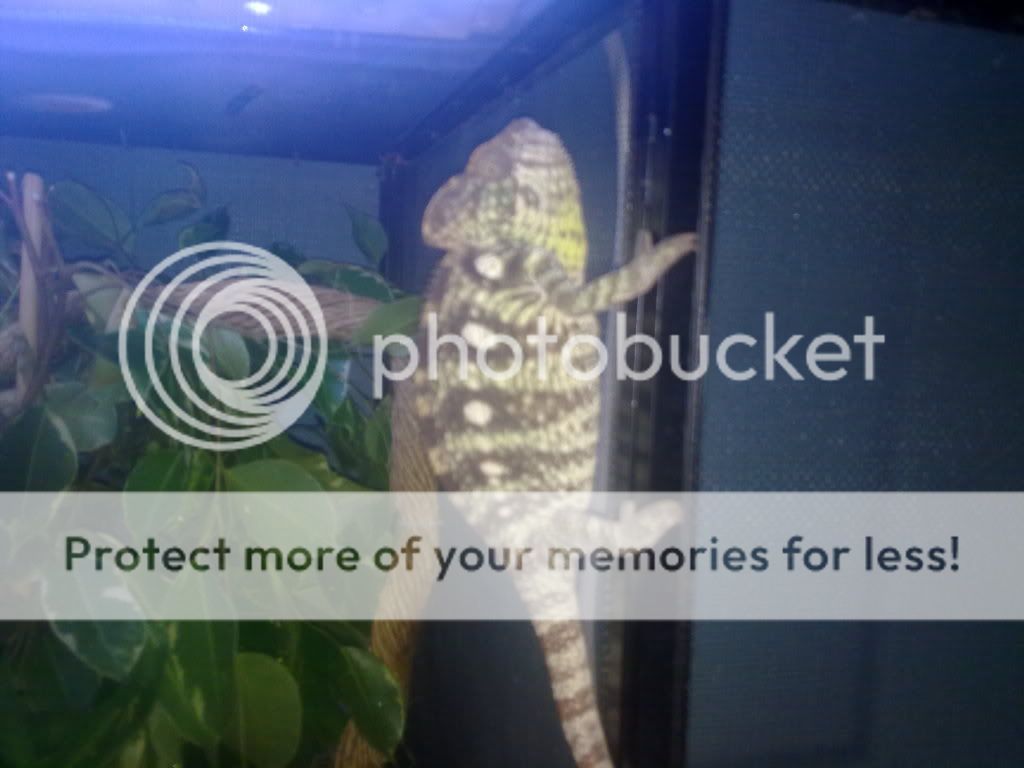 25072010129.jpg