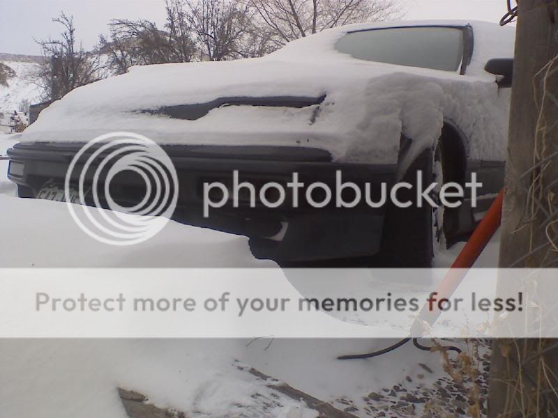 snow4.jpg