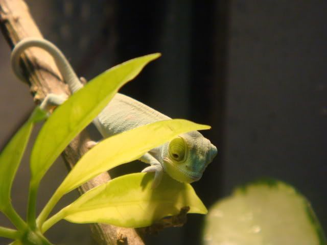DSC03702.jpg