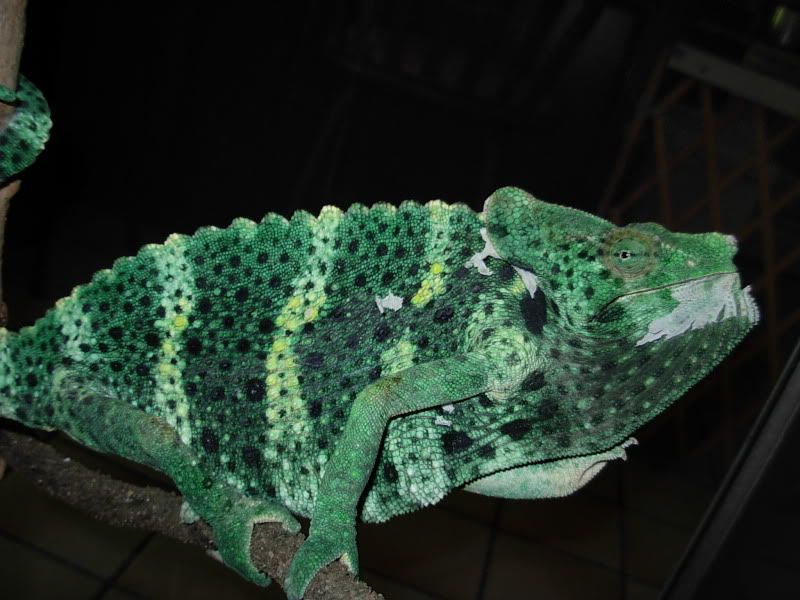 DSCN5326.jpg