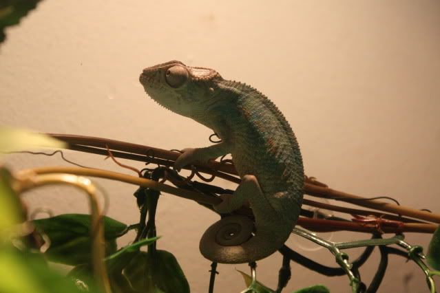 IMG_9471.jpg