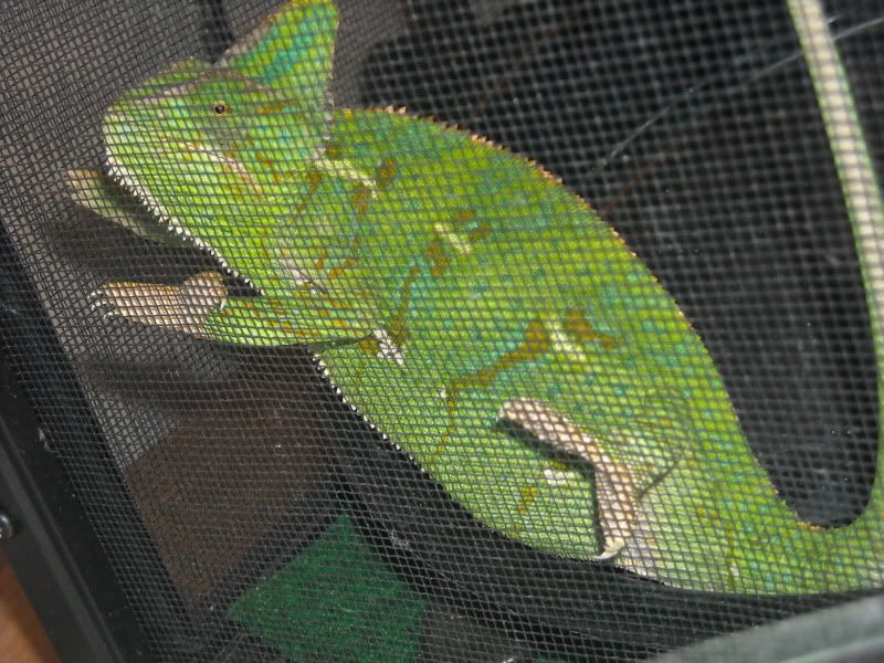 DSCN0639.jpg