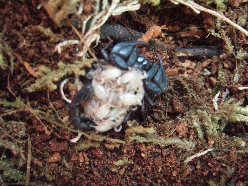 DSCF5670.jpg