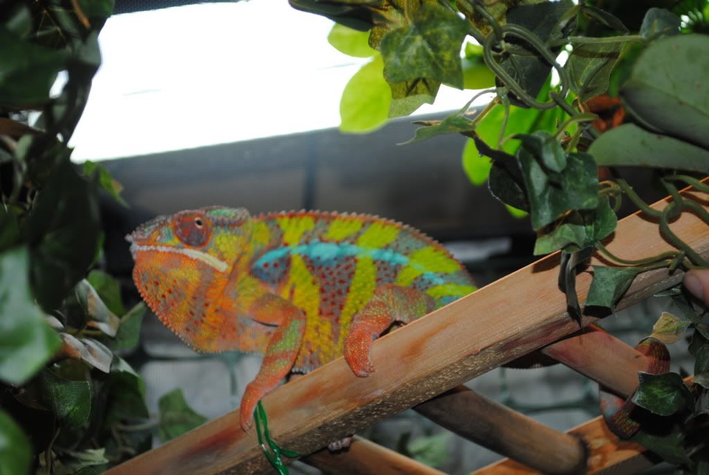 DSC_0607.jpg