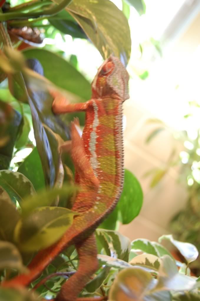 DSC_1298.jpg