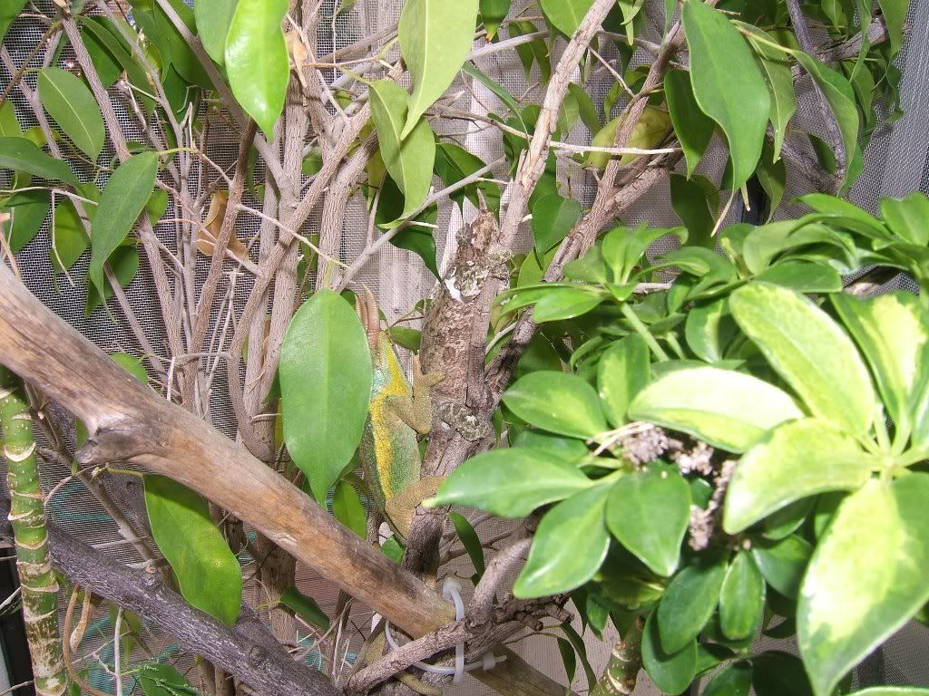DSCF8146a.jpg