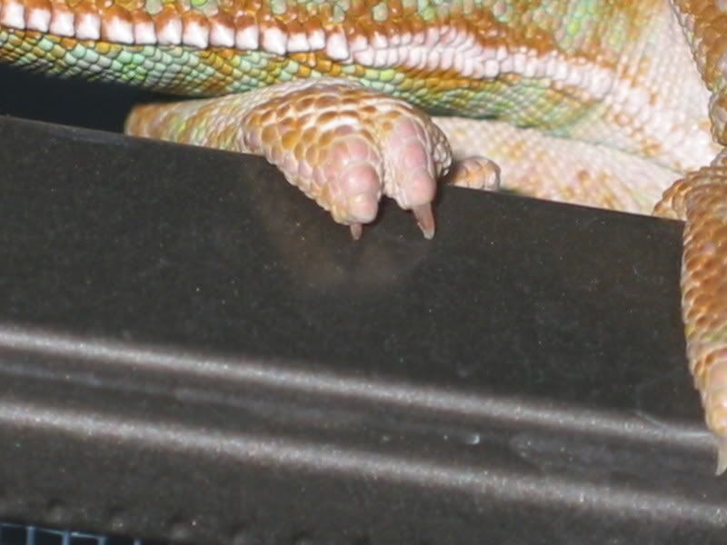 december039.jpg