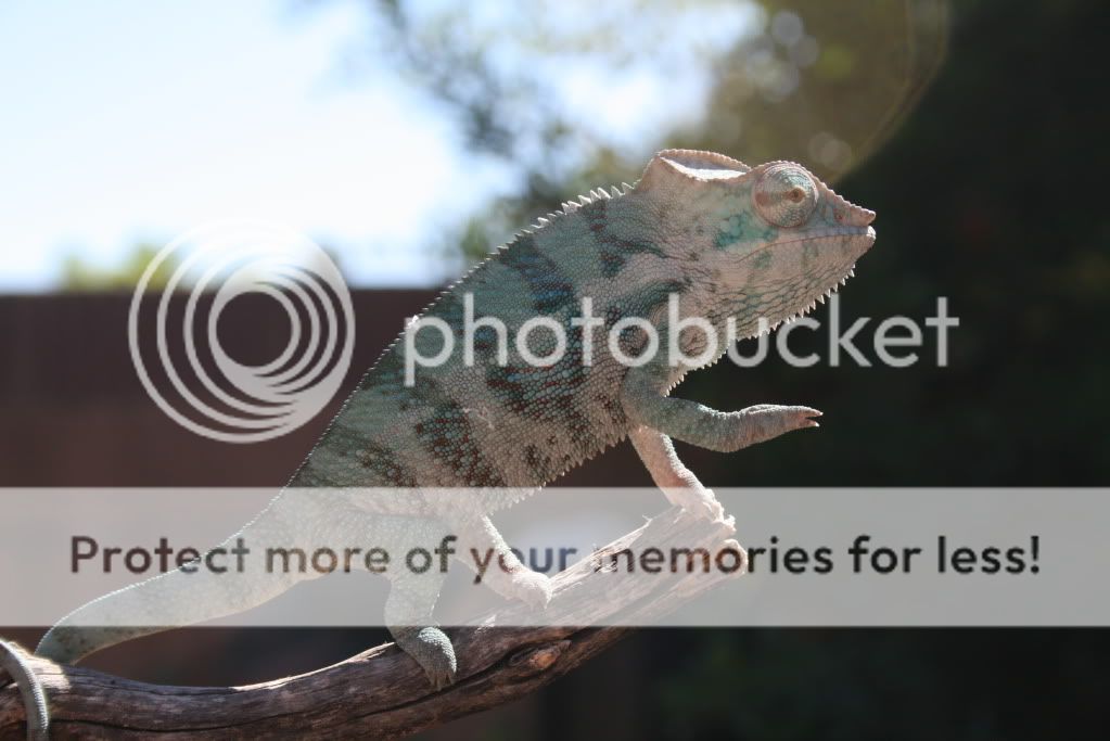 eospics9-19-09022-1.jpg