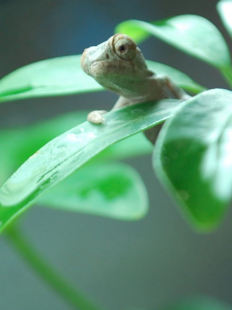 CSC_1256.jpg