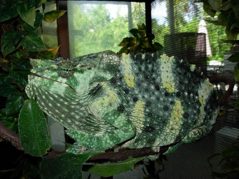 DSCN5315.jpg