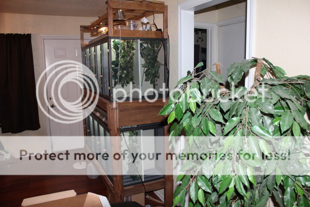babyraiserpics052.jpg