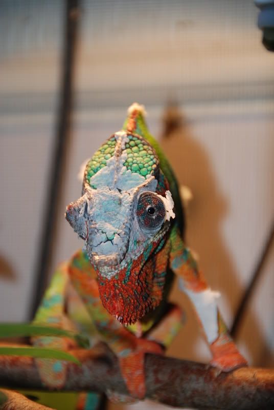 20080214022.jpg