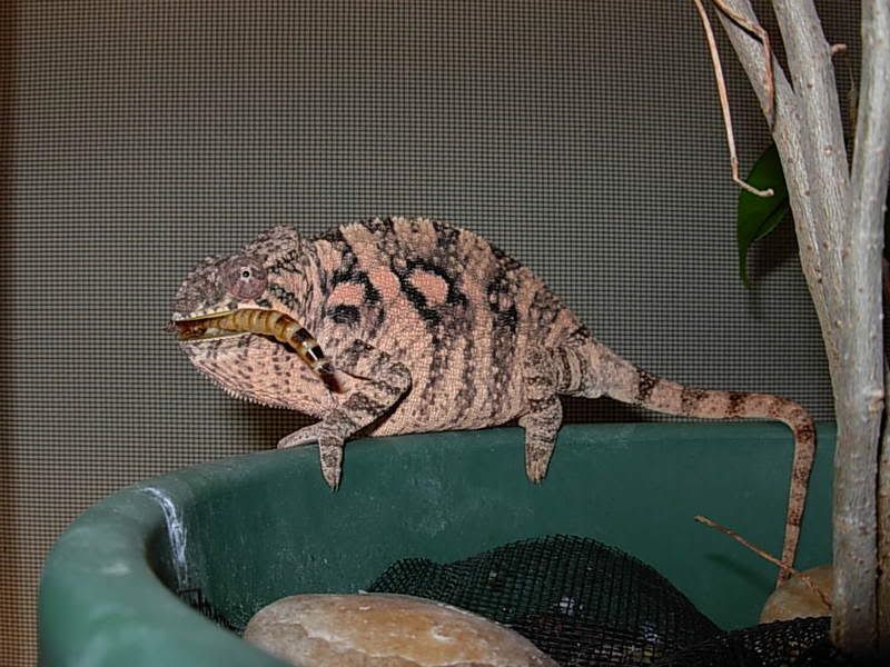 DSCN2318.jpg