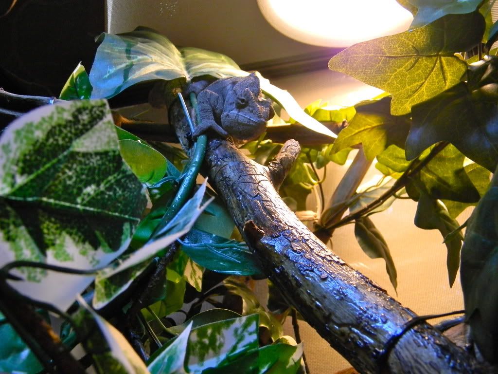 DSCN1038.jpg