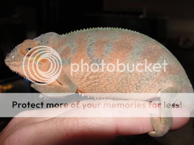 sep09002.jpg
