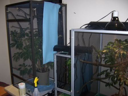 cages2.jpg