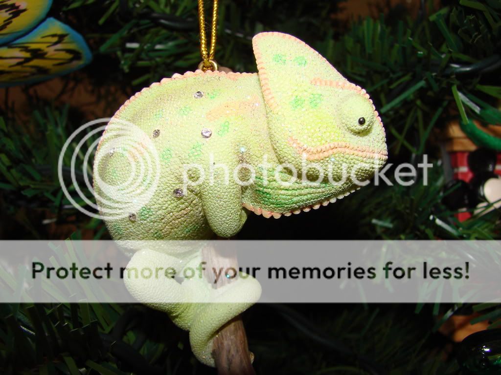 DSC05588.jpg