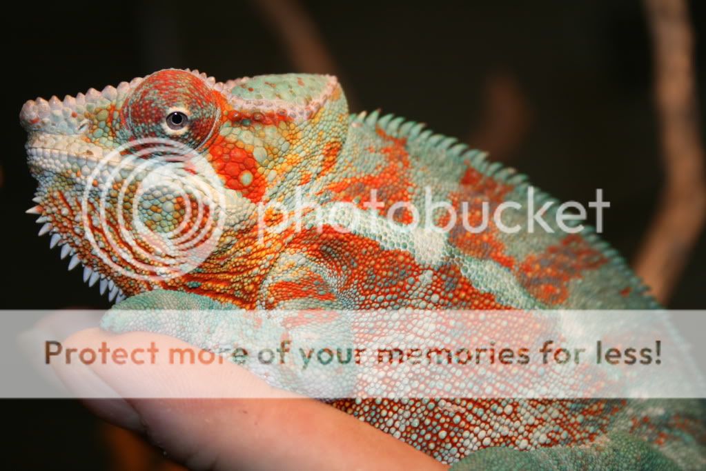 picsfromtoday026.jpg