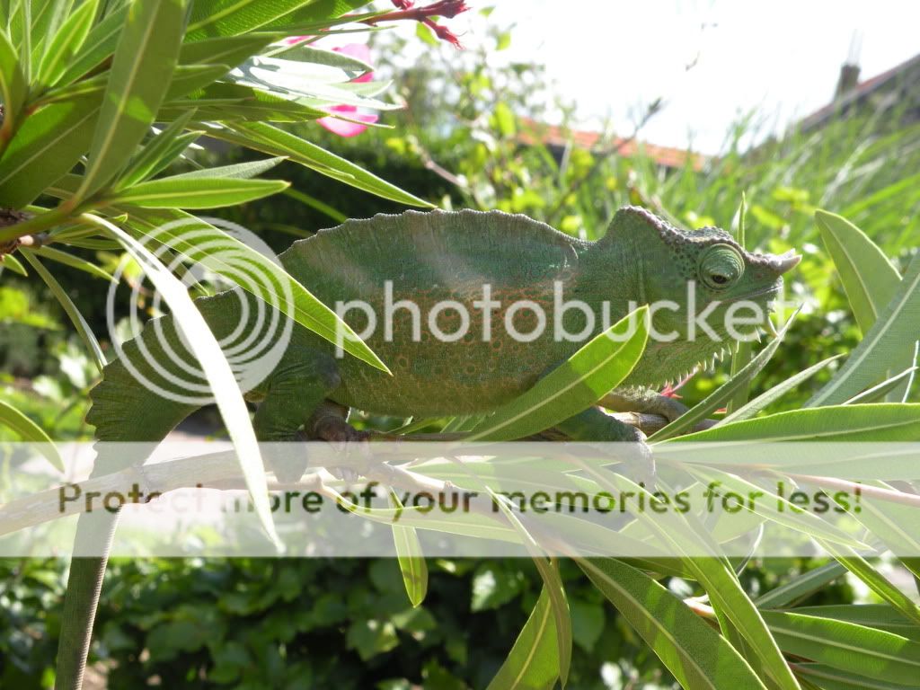 DSCN8220.jpg