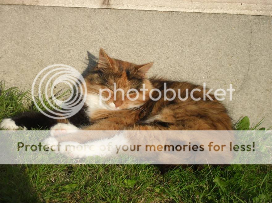 ContentmentSept09.jpg