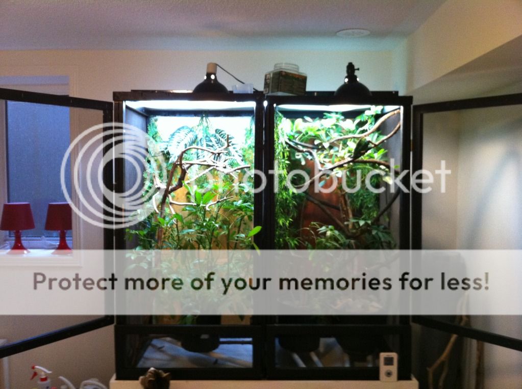 photo42.jpg